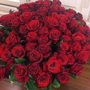 Meet your Posher, Alexandria